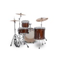 shell set Catalina Maple