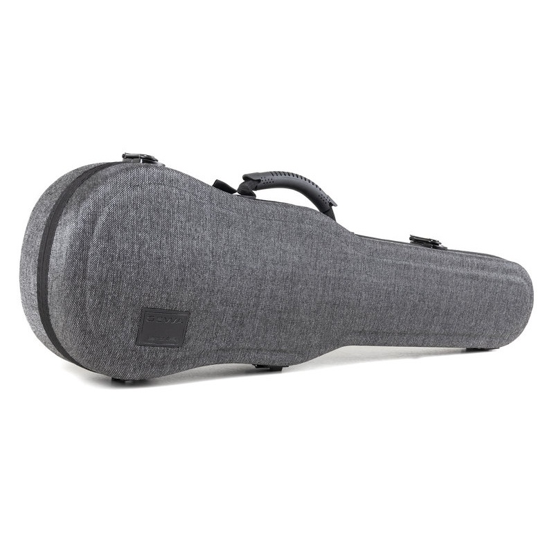 Скрипичный маэстро 1